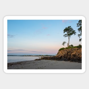 Beverly MA Rice Beach Sunrise Cliff Tree Sticker